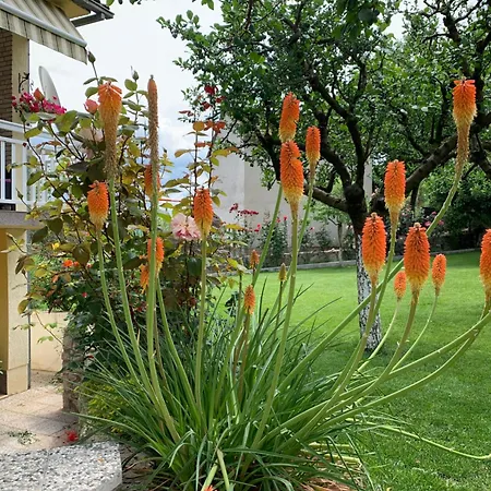 Nada Апартаменти *